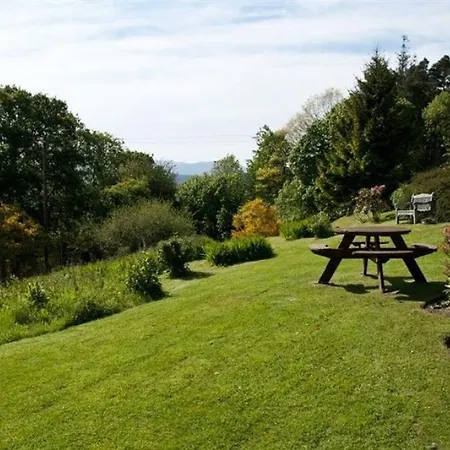 The Top Garden *