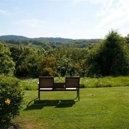 The Top Garden *